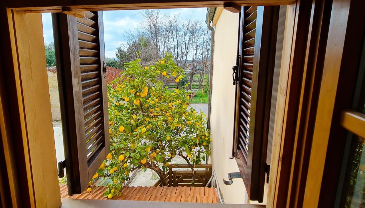Agriturismo Barbadoro San Vincenzo Bagian luar foto