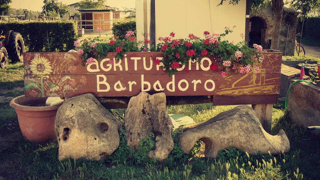 Agriturismo Barbadoro San Vincenzo Ruang foto